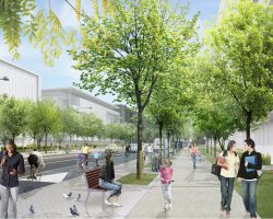 Vue de la nouvelle rue Thérèse-Lavoie-Roux (vue vers l’est)